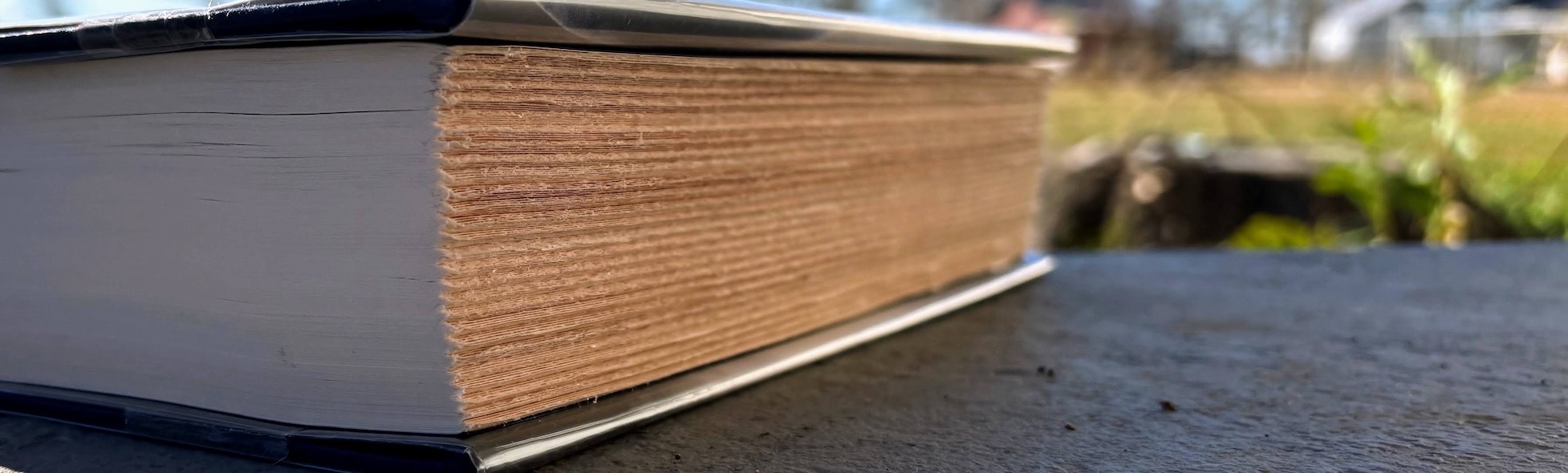 A picture of the side of a book against a blurry background